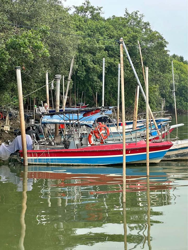 Boat Untuk dijual body japan dgn enjin mercury